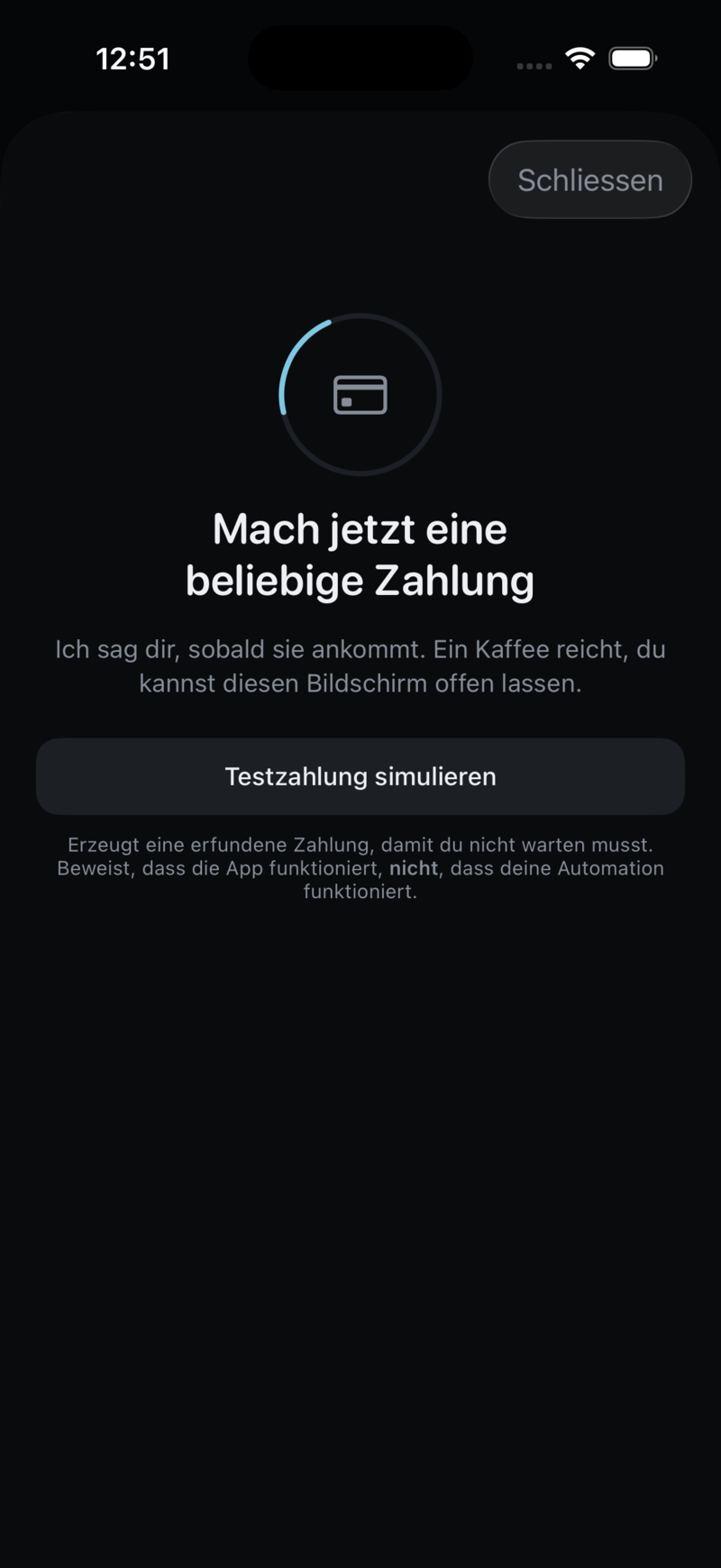 Der Wartebildschirm „Mach jetzt eine beliebige Zahlung“ mit dem Knopf für die Testzahlung.